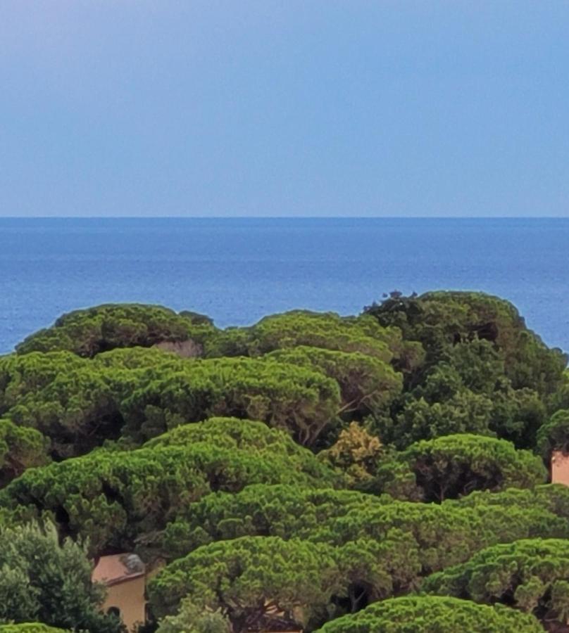 Villa Palm' Issambres 6-7 Personnes, Clim, Avec Piscine, Jardin Et Parking Prives La Garonnette-Plage Exteriér fotografie