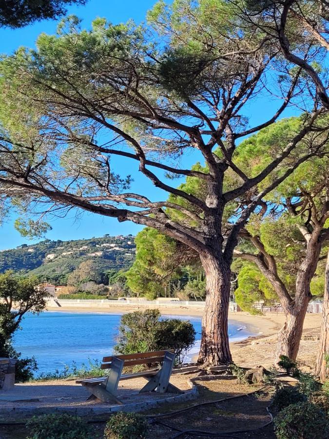 Villa Palm' Issambres 6-7 Personnes, Clim, Avec Piscine, Jardin Et Parking Prives La Garonnette-Plage Exteriér fotografie