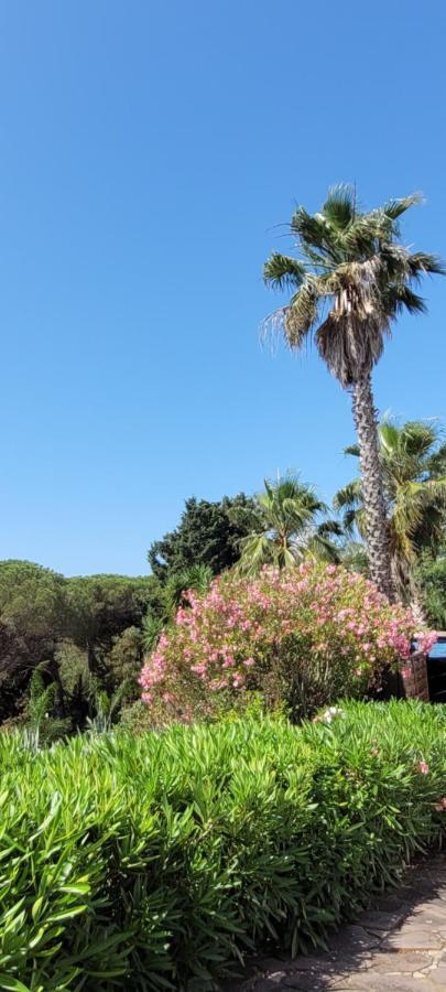 Villa Palm' Issambres 6-7 Personnes, Clim, Avec Piscine, Jardin Et Parking Prives La Garonnette-Plage Exteriér fotografie