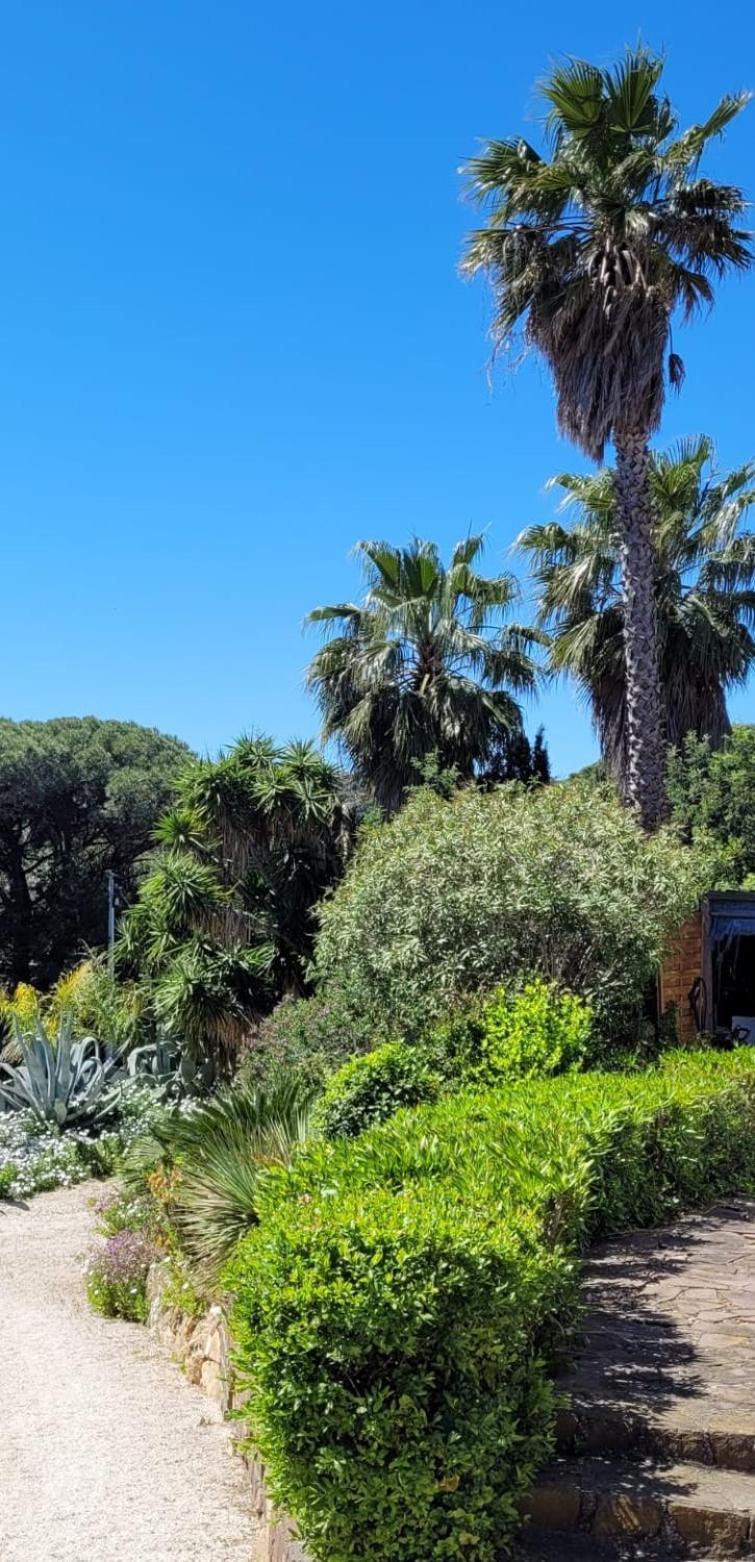 Villa Palm' Issambres 6-7 Personnes, Clim, Avec Piscine, Jardin Et Parking Prives La Garonnette-Plage Exteriér fotografie